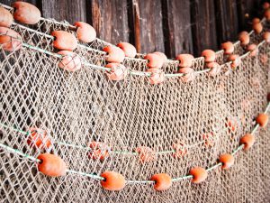 fishing net at an old port in italy